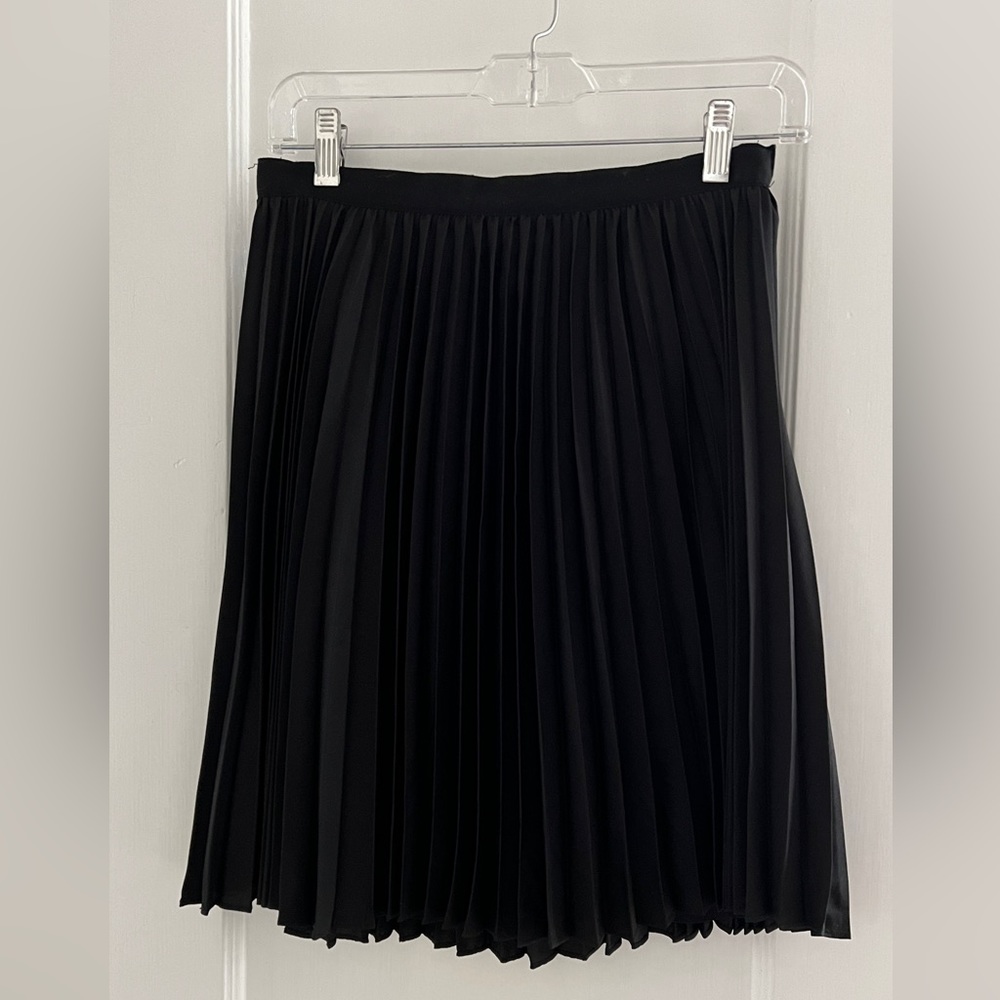 Pleated Skirt